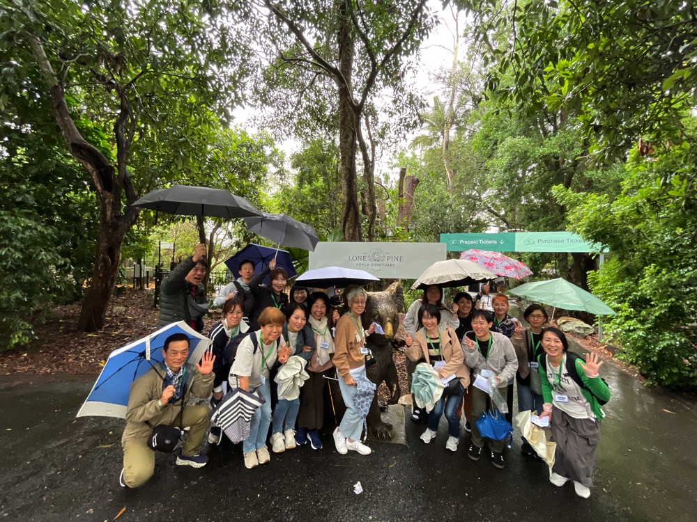 アクティビティの様子